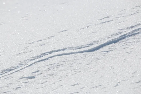 Uma Linha Diagonal Lisa Que Corre Através Neve Branca Pura — Fotografia de Stock