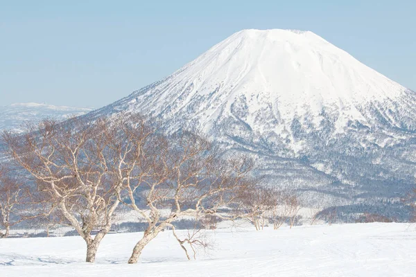 Snow Capped Volcano Yotei Winter Nisko Japan —  Fotos de Stock