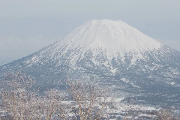 Yotei Winter Niseko Hokkaido Japan —  Fotos de Stock