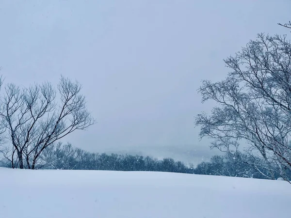 Paisaje Invernal Con Árboles Nevados Nieve — Foto de Stock