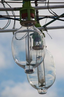 Two large industrial glass lightbulbs