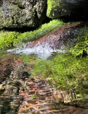 Pure fresh mountain spring water source