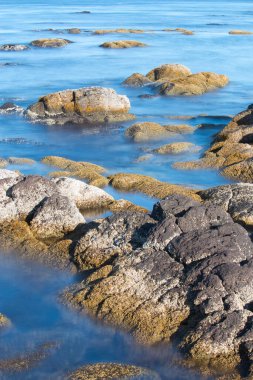 Rocks covered with barnacles surrounded by sea