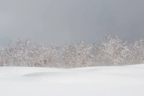 Nieve Soplando Sobre Una Deriva Nieve Con Árboles Fondo — Foto de Stock