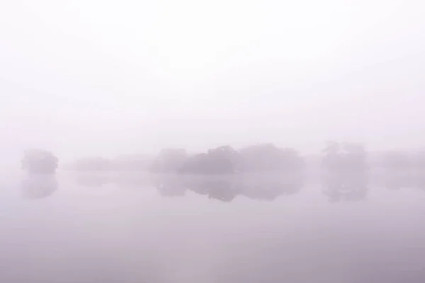 Ligne Arbres Dans Brume Violette Sur Lac — Photo