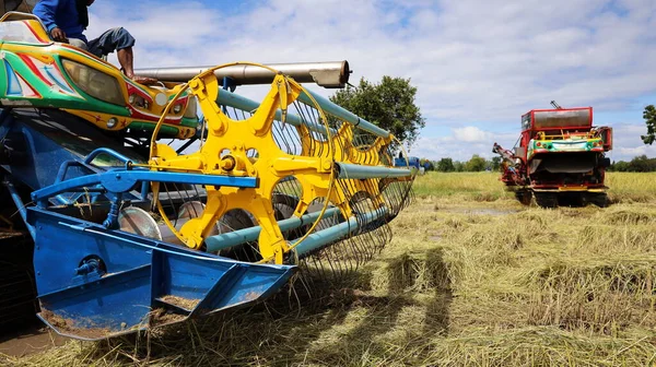 Rotary Harvester 'a yakın çekim. Topraktaki tarımsal ekinleri biçmek için rotatör tarlalarda çalışan hasatçıları birleştiriyor. Seçici odak