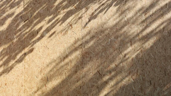クリーム色の木製の壁に葉の影 コピースペースと木目の背景に太陽光によって引き起こされる木の影 選択的焦点 — ストック写真