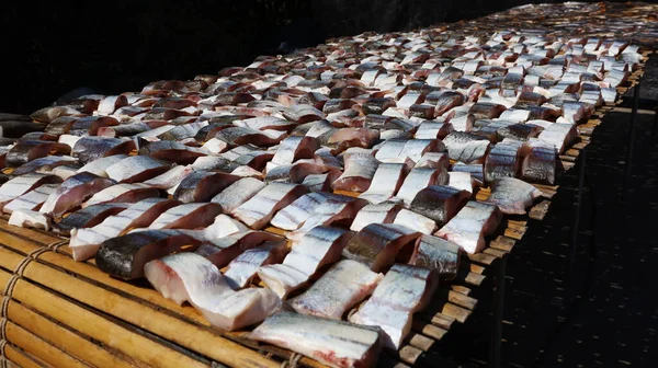 Suszona Ryba Ściółce Wiele Ryb Słodkowodnych Jest Umieszczonych Słońcu Celu — Zdjęcie stockowe