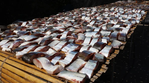 Pescado Seco Una Camada Muchos Peces Agua Dulce Están Expuestos — Foto de Stock