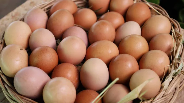 Muitos Ovos Frescos Num Cesto Ovos Frescos Sujos Uma Casa — Fotografia de Stock