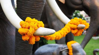Fildişi üzerine sarı çiçek çelenkleri. Tayland 'da saygı duyulan fil heykeline çiçeklerle tapmak. Konuya yakından odaklanmayı seç.