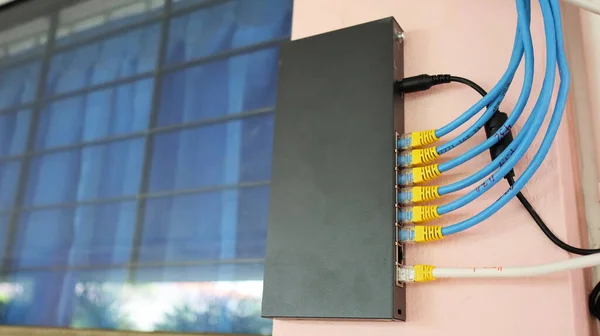 Přepínám Rozbočovač Stěně Network Switch Hub Router Černé Kabely Pro — Stock fotografie