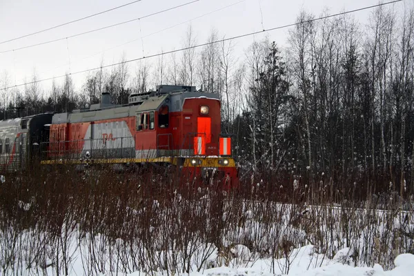 Pociąg Techniczny Przechodzi Przez Pas Leśny Miejsce Tekst — Zdjęcie stockowe
