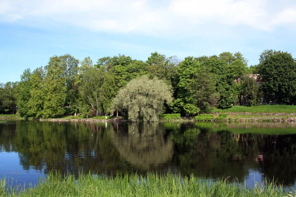 Increíble Naturaleza Del Istmo Karelia Bosques Karelia —  Fotos de Stock