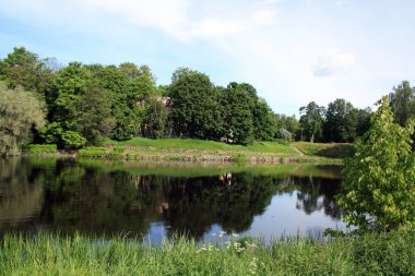 Karelian Isthmus 'un inanılmaz doğası. Karelia Ormanları. Yaz
