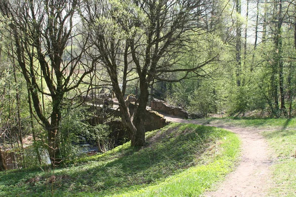 Ponte Rovina Sul Fiume Karasta Nel Parco Oranienbaum Prima Del — Foto Stock
