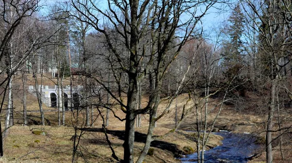 Pont Petrovsky Dans Parc Oranienbaum Avant Restauration Saint Pétersbourg Lomonosov — Photo