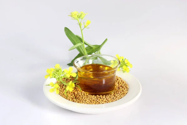 mustard oil, seed and flower on dish on white background. useful in cooking and external body care. Mustard seeds and oil with mustard plants with pods and flowers