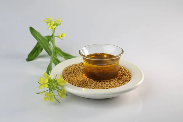 Studio shoot of mustard oil, seed and flower on dish on white background. useful in cooking and external body care. Mustard seeds and oil with mustard plants with pods and flowers