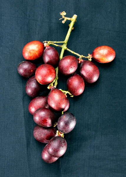 Roktogota Oder Blutfrucht Ist Eine Holzige Kletterpflanze Und Bei Stämmen — Stockfoto