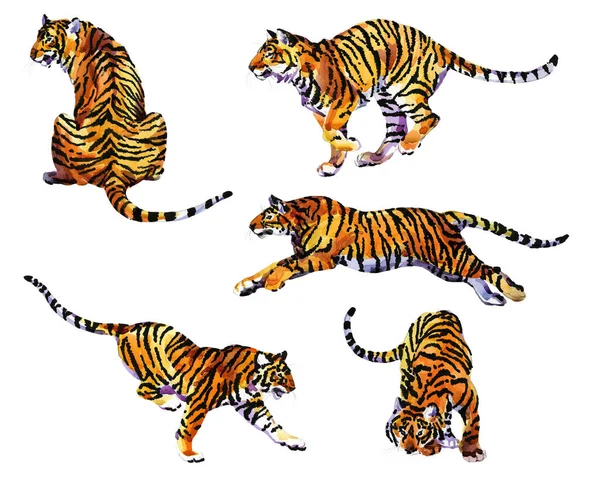 Tigre Isolado Fundo Branco Ilustração Aquarela — Fotografia de Stock