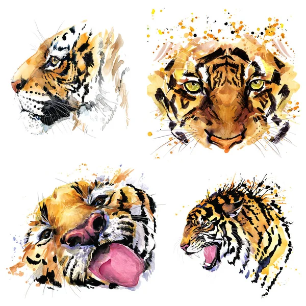 Tigerkopf Aquarell Cliparts Kollektion Das Jahr Des Tigers lizenzfreie Stockbilder