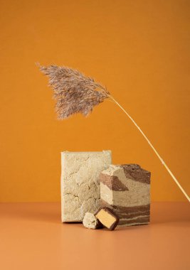 Modern natürmort. Ayçiçeği tohumları, kakao ve tahini 'nin tatlı tatlı halkası çift renkli bej arka plan. Orta Doğu, Balkanlar ve Batı Asya' da geleneksel tatlı şekerlemesi.