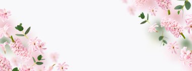 Gül sümbülü bahar çiçekleri ve yeşil yapraklar gri arka planda havada uçuşuyor. Havalanma konsepti. Yüzen yapraklar. Düğünlü kartpostal, kadınlar günü, anneler günü. Boşluğu kopyala.