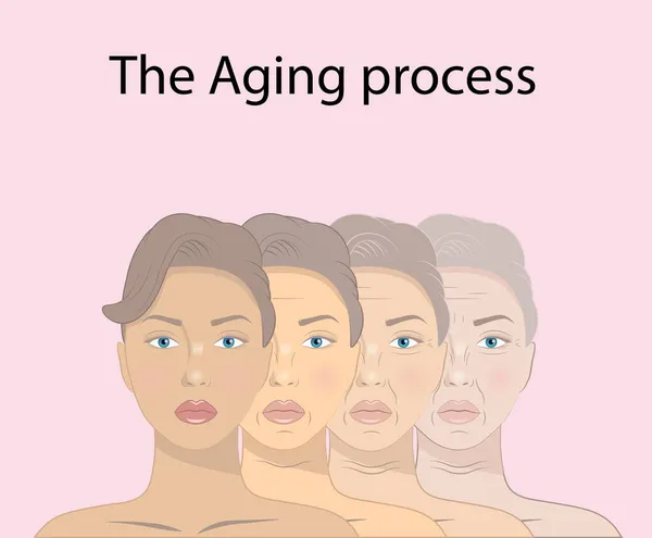 Illustration Skönhetskoncept Hudens Åldrande Och Aging Process — Stock vektor