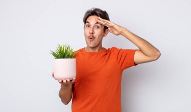 Genç İspanyol adam mutlu, şaşkın ve şaşırmış görünüyor. dekoratif bitki konsepti