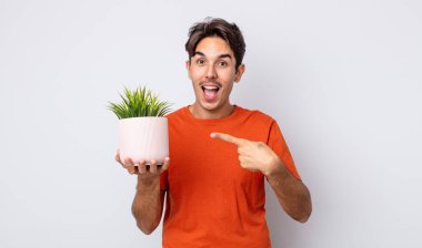Genç İspanyol adam heyecanlı ve şaşırmış görünüyor. dekoratif bitki konsepti