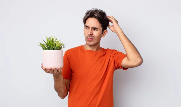 Jonge Spaanse Man Glimlachend Dagdromend Twijfelend Decoratieve Plant Concept — Stockfoto