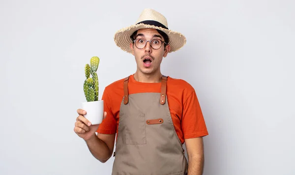 Молодой Латиноамериканец Выглядит Шокированным Удивленным Садовник Кактусом — стоковое фото
