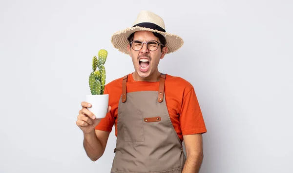 Young Hispanic Man Shouting Aggressively Looking Very Angry Gardener Cactus — Stock Photo, Image