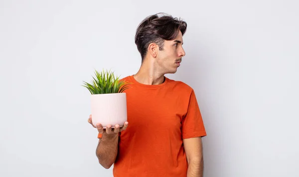 Jonge Spaanse Man Profiel Bekijken Denken Verbeelden Dagdromen Decoratieve Plant — Stockfoto