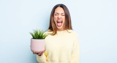 Oldukça İspanyol bir kadın agresif bir şekilde bağırıyor, çok kızgın görünüyor. ev bitkisi kavramı