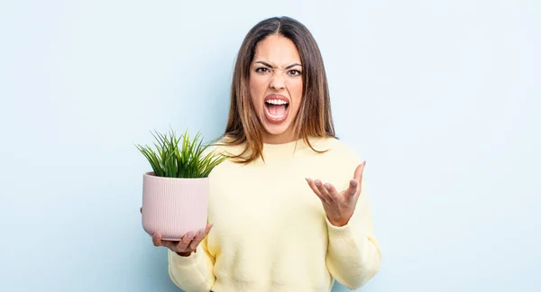 Mulher Bastante Hispânica Com Irritado Irritado Frustrado Conceito Planta Doméstica — Fotografia de Stock