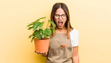 Güzel İspanyol kız agresif bir şekilde bağırıyor, çok kızgın görünüyor. bitki kavramı