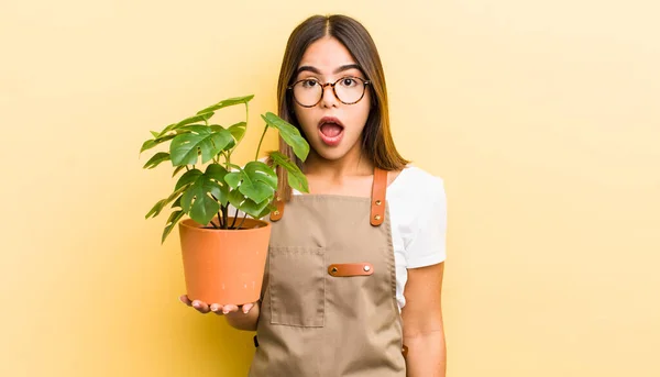 Menina Muito Hispânica Olhar Muito Chocado Surpreso Conceito Planta — Fotografia de Stock