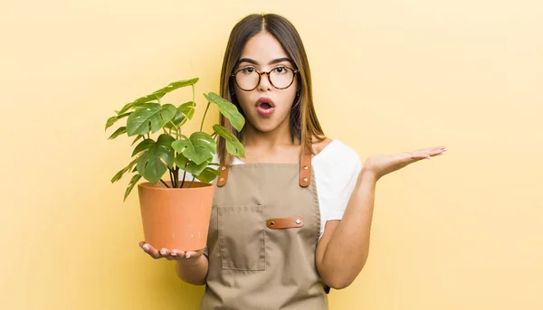 Bella Ragazza Ispanica Guardando Sorpreso Scioccato Con Mascella Caduto Possesso — Foto Stock