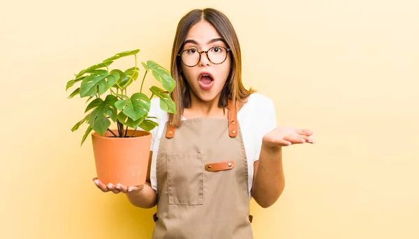 Menina Bastante Hispânica Sentindo Extremamente Chocado Surpreso Conceito Planta — Fotografia de Stock