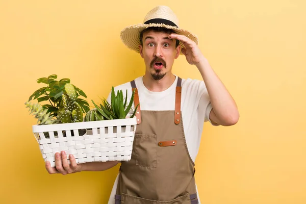 Uomo Che Sembra Felice Stupito Sorpreso Concetto Giardiniere — Foto Stock