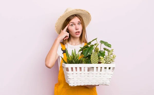 Bitkileri Olan Beyaz Bir Kadın Gardering Konsepti — Stok fotoğraf