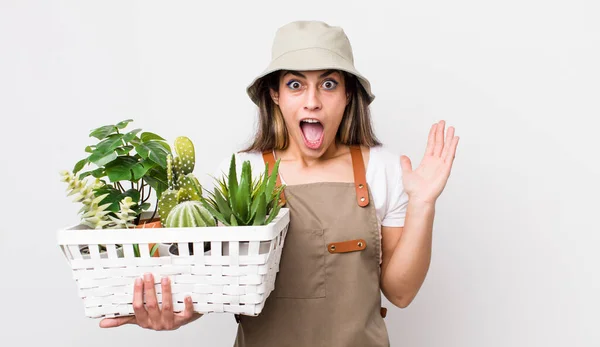 Mujer Bastante Hispana Sintiéndose Feliz Asombrada Por Algo Increíble Plantas —  Fotos de Stock