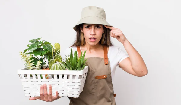 Pretty Hispanic Woman Feeling Confused Puzzled Showing You Insane Plants — Stock Photo, Image