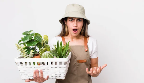 Mujer Hispana Bonita Mirando Enojado Molesto Frustrado Plantas Concepto Jardinería —  Fotos de Stock