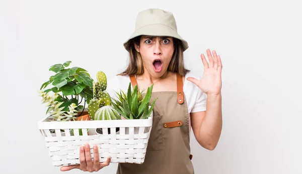 Mulher Muito Hispânica Gritar Com Mãos Plantas Conceito Jardinagem — Fotografia de Stock