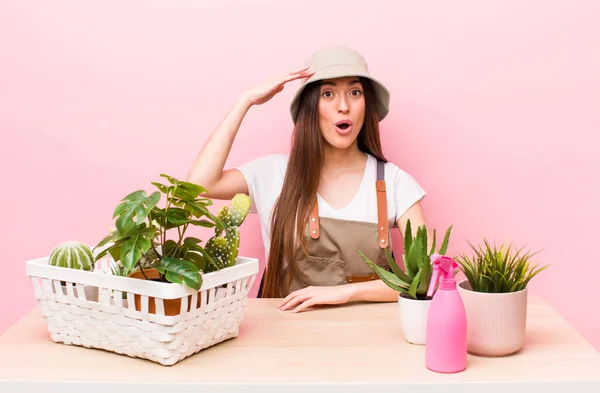 Hispanic Pretty Woman Looking Happy Astonished Surprised Plants Gardering Concept — Stock Photo, Image