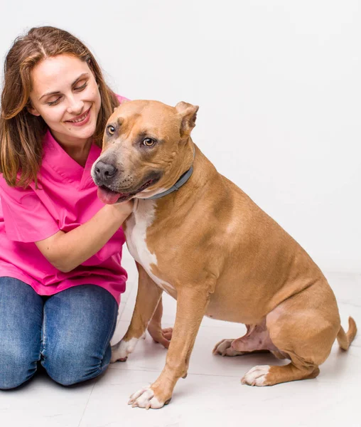 Jovem Mulher Bonita Adulto Conceito Veterinário — Fotografia de Stock