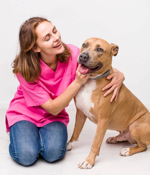 Jovem Mulher Bonita Adulto Conceito Veterinário — Fotografia de Stock